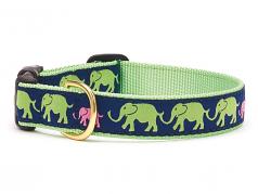 Dog Collars: 5/8" or 1" Wide Leader of the Pach Collar