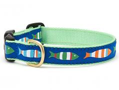 Dog Collars: 5/8" or 1" Wide Funky Fish Clip Collar