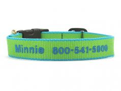 Dog Collars: 5/8" or 1" Wide Lime and Aqua Bamboo Embroidered Collar