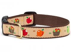 Dog Collars: 5/8" or 1" Width- Apple of My Eye Clip Collar and/or Leash