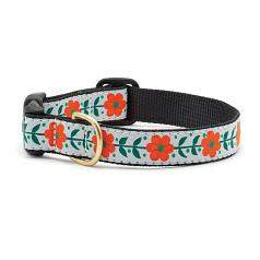 Dog Collars: 5/8" or 1" Width- Orange You Pretty Clip Collar and/or Leash