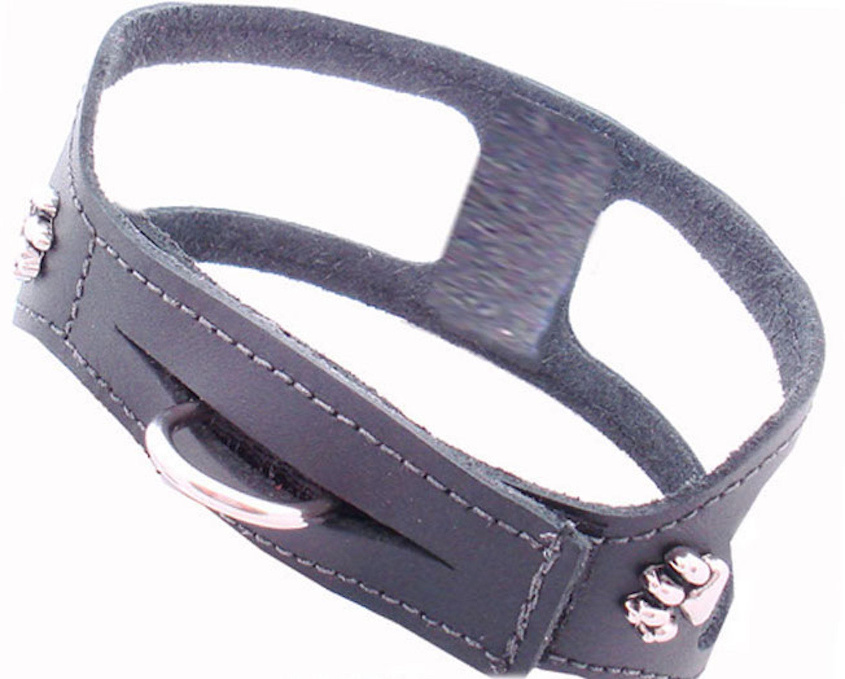 Choke Free Dog Harness for dogs under 15 lbs