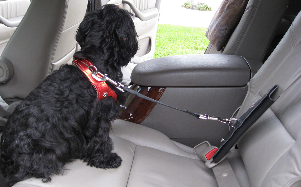 Dog Seat Belt, Seat Belt Harness