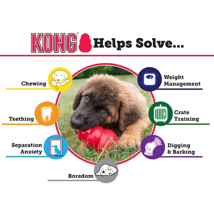 KONG Kong Binkie Unique Pacifier Shaped Puppy Medium Chewing Toy for Dogs 7-16kg 