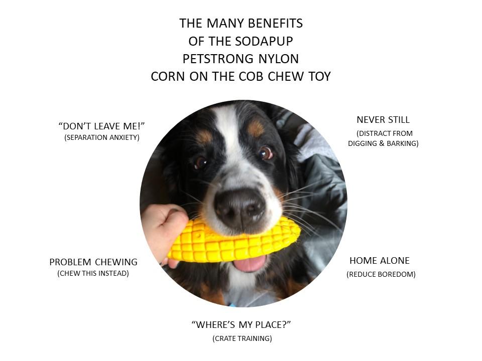 SodaPup Corn on The COB Treat Dispenser Dog Toy, Yellow, Medium