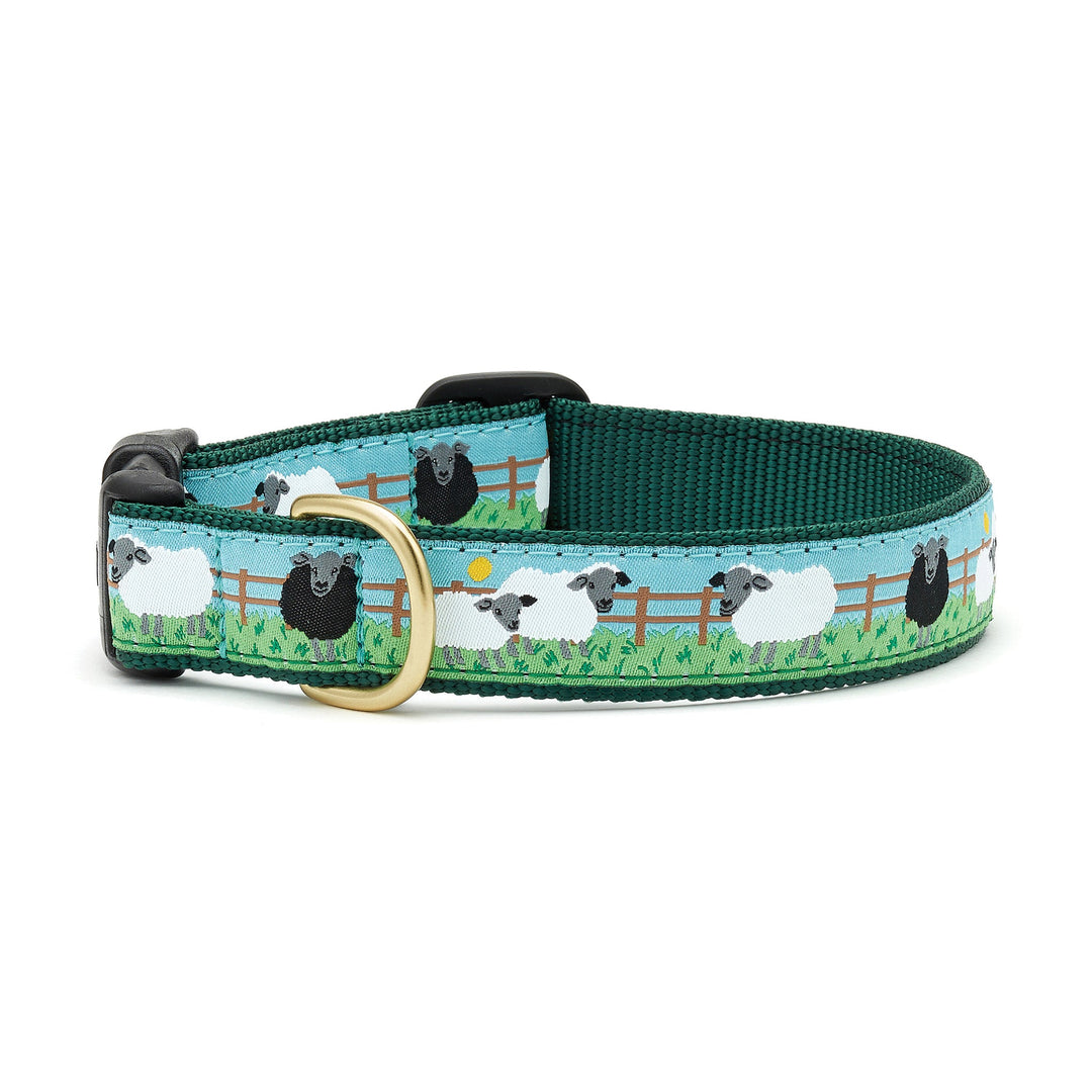  1 inch Wide Martingale Dog Collar and Leash Set