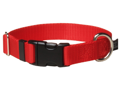 Dog Collars:  Clip in 5/8" Width for dogs under 30lbs