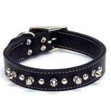 Dog Buckle Collar Matches Freedom No Pull Harness