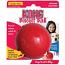 Dog Toy: Kong Biscuit Ball Available in Two Sizes