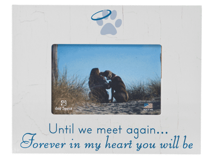 Sympathy:  Picture Frame "Until we meet again...Forever in my heart you will be"