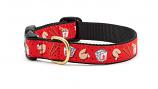 Dog Collars: 5/8" or 1" Wide Take Out Clip Collar