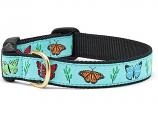 Dog Collars: 5/8" or 1" Wide Butterfly Effect Clip Collar