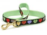 Dog Collars: 5/8" or 1" Colorful Hearts Leash