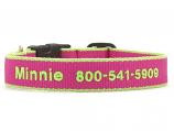 Dog Collars: 5/8" or 1" Wide Pink and Lime Bamboo Embroidered Collar