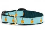 Dog Collars: 5/8" or 1" Wide Pineapple Clip Collar