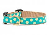 Dog Collars: 5/8" or 1" Wide Teal Yellow Dot Clip Collar