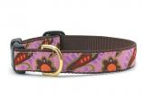 Dog Collars: 5/8" or 1" Wide Lush Paisley Clip Collar