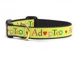 Dog Collars: 5/8" or 1" Wide Adopted Clip Collar