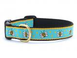 Dog Collars: 5/8" or 1" Width- Bees Clip Collar and/or Leash